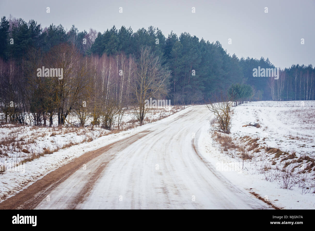 Paesaggio invernale nella contea di Bialystok, Voivodato Podlaskie di Polonia Foto Stock