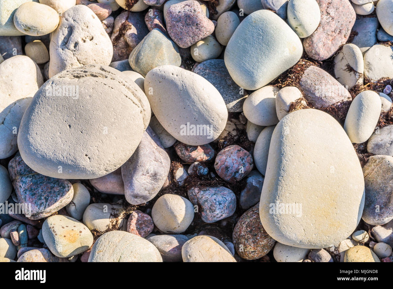 Boda costa est della riserva naturale su Oland, Svezia. Naturalmente calcari lucidato a la spiaggia rocciosa. Foto Stock