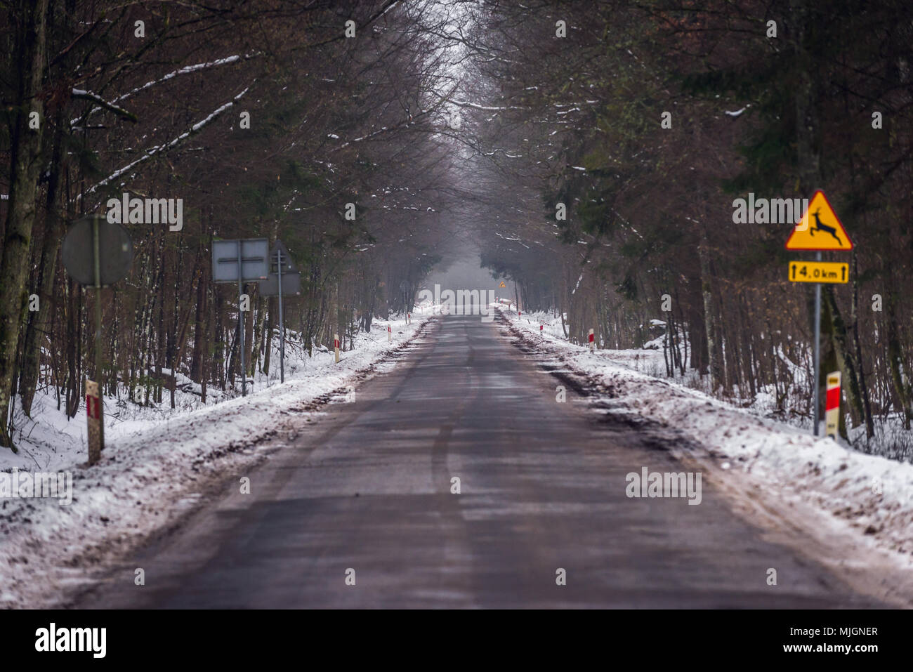 Strada di confine tra Polonia e Bielorussia nel villaggio Grudki entro Hajnowka County, Voivodato Podlaskie di Polonia Foto Stock