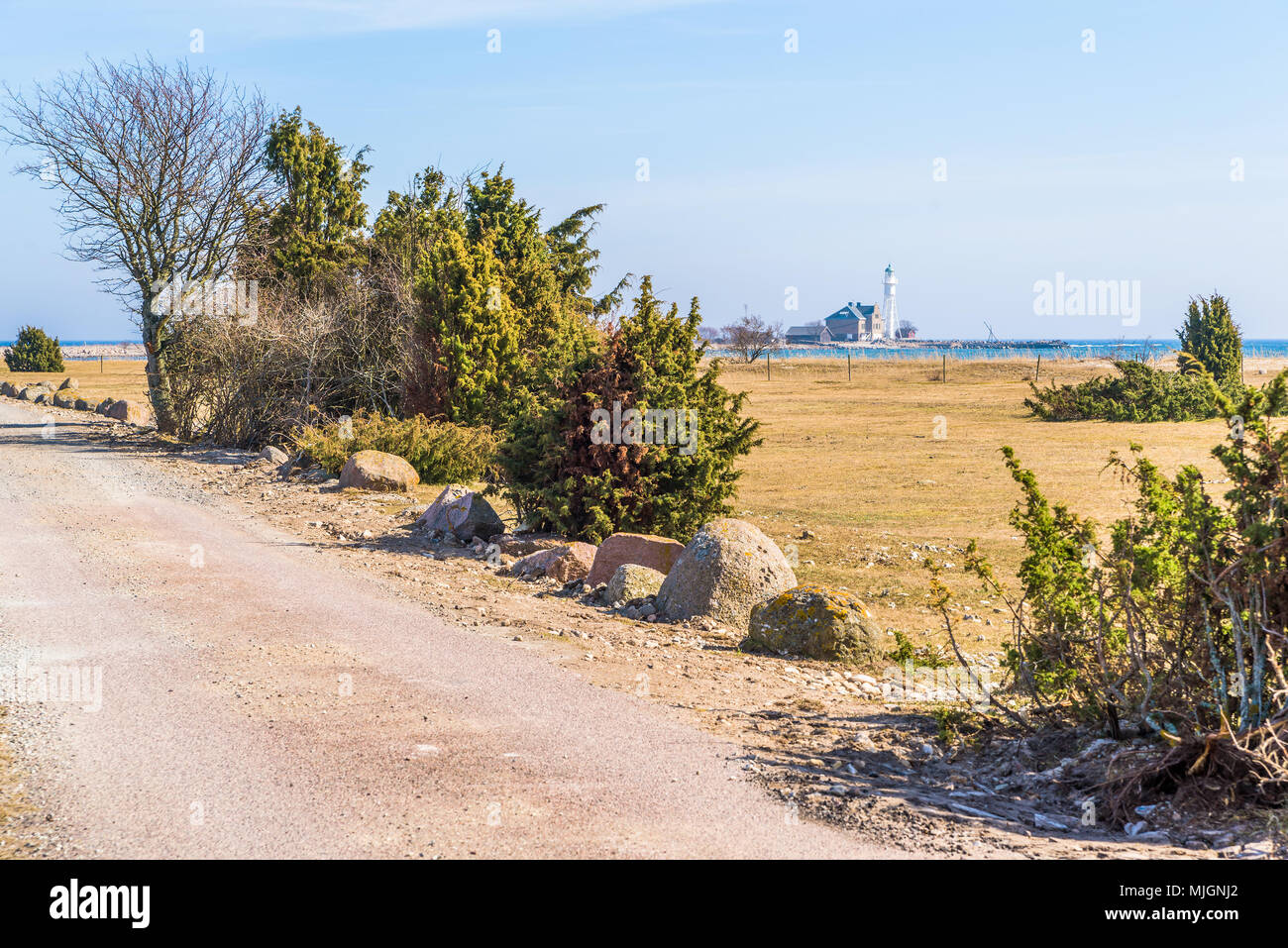 Hogby faro sulla Oland, Svezia. Il paesaggio costiero con cespugli di ginepro e prati su una soleggiata giornata di primavera. Foto Stock