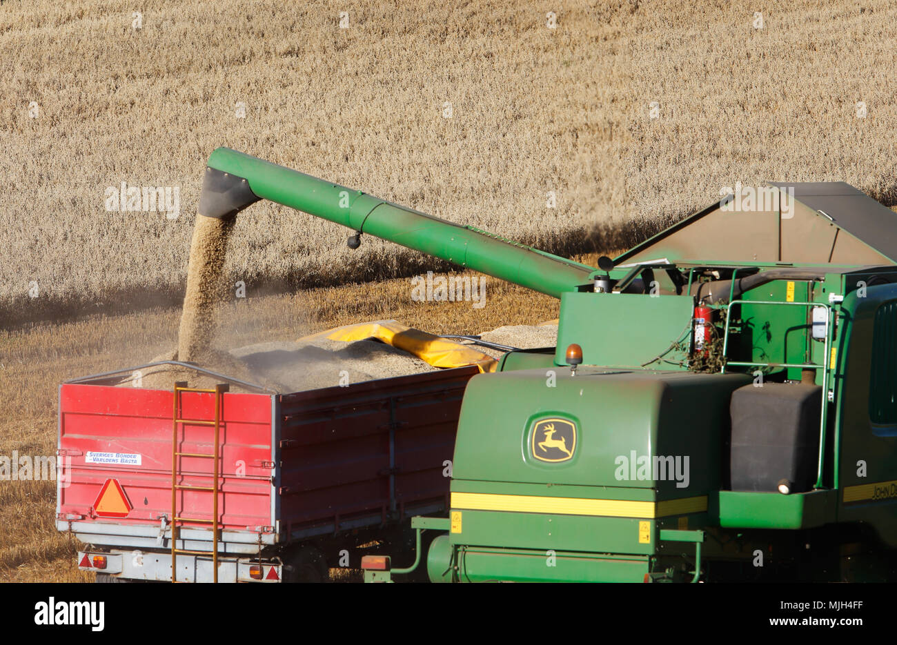 Botkyrka, Svezia - 24 agosto 2016: un green John Deere Harvester drena il contenitore per il seme strappata ad un rimorchio di un trattore. Foto Stock
