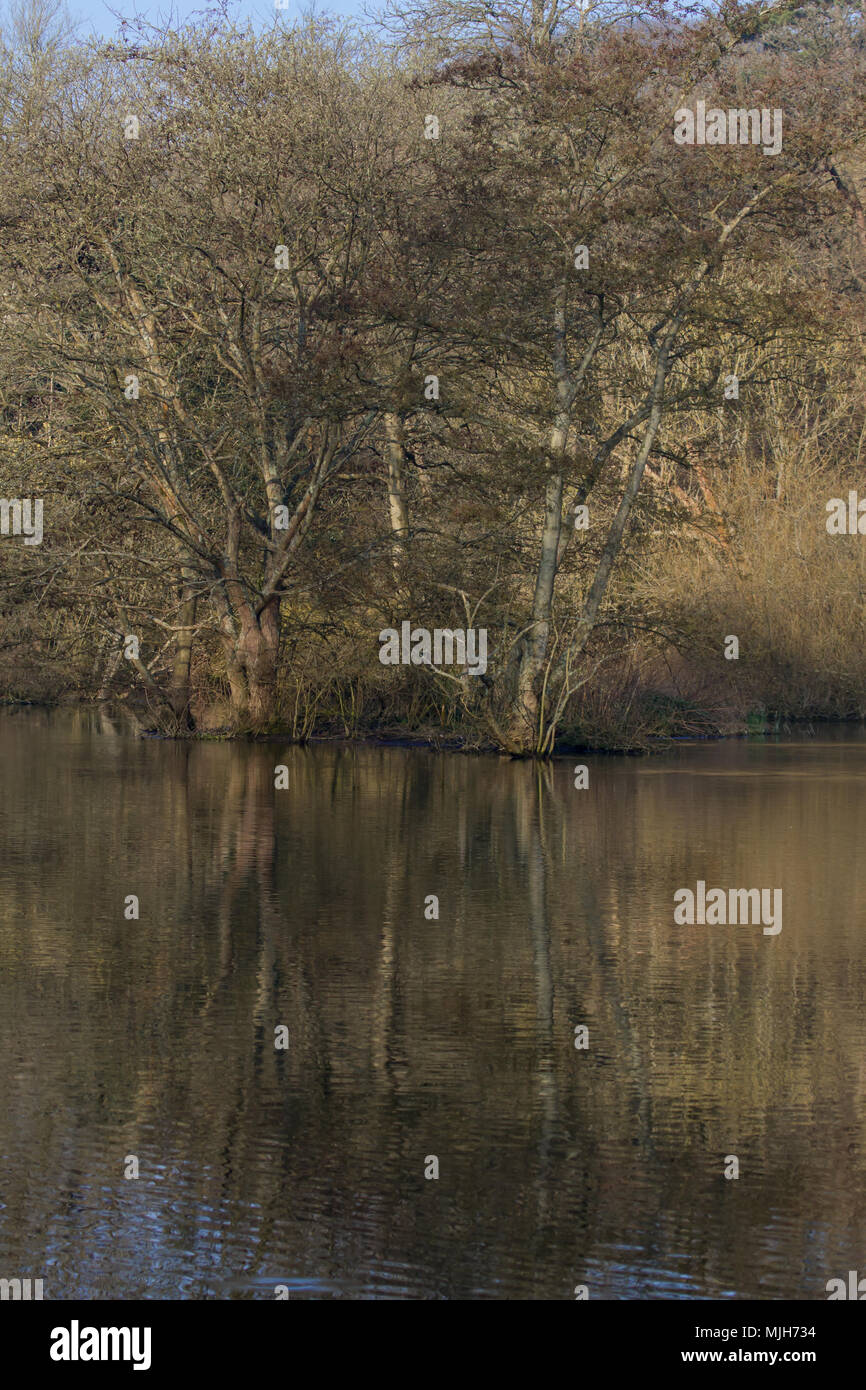 Paesaggio Foto di alberi con riflessi nell'acqua in un giorno di primavera Foto Stock