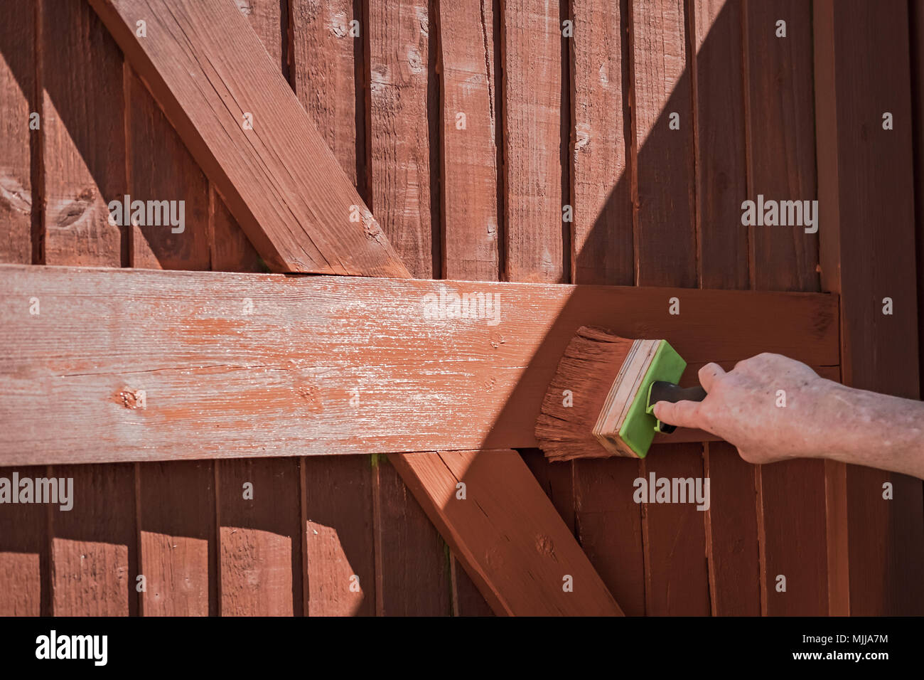 La donna vede la verniciatura di un legno, costruito ingresso sincronizzato con un grande pennello di legname. Questa messa a fuoco poco profonda è immagine del pennello. Foto Stock