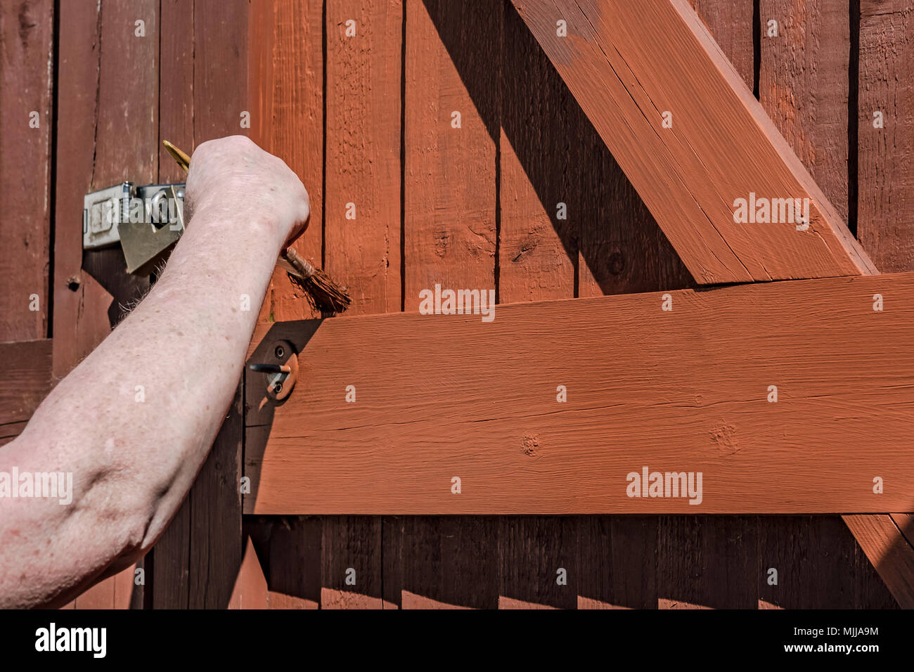 La donna vede la verniciatura di un legno, costruito ingresso sincronizzato con un grande pennello di legname. Questa messa a fuoco poco profonda è immagine del pennello. Foto Stock