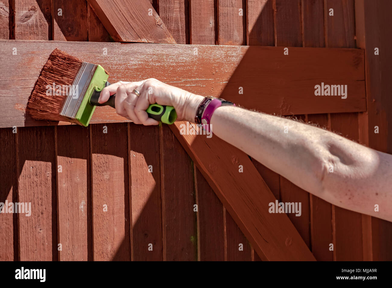 La donna vede la verniciatura di un legno, costruito ingresso sincronizzato con un grande pennello di legname. Questa messa a fuoco poco profonda è immagine del pennello. Foto Stock