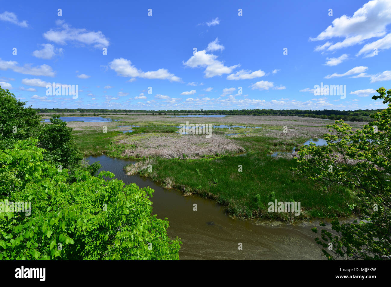 Un abbandonato slave campo di risone in Carolina del Sud Foto Stock