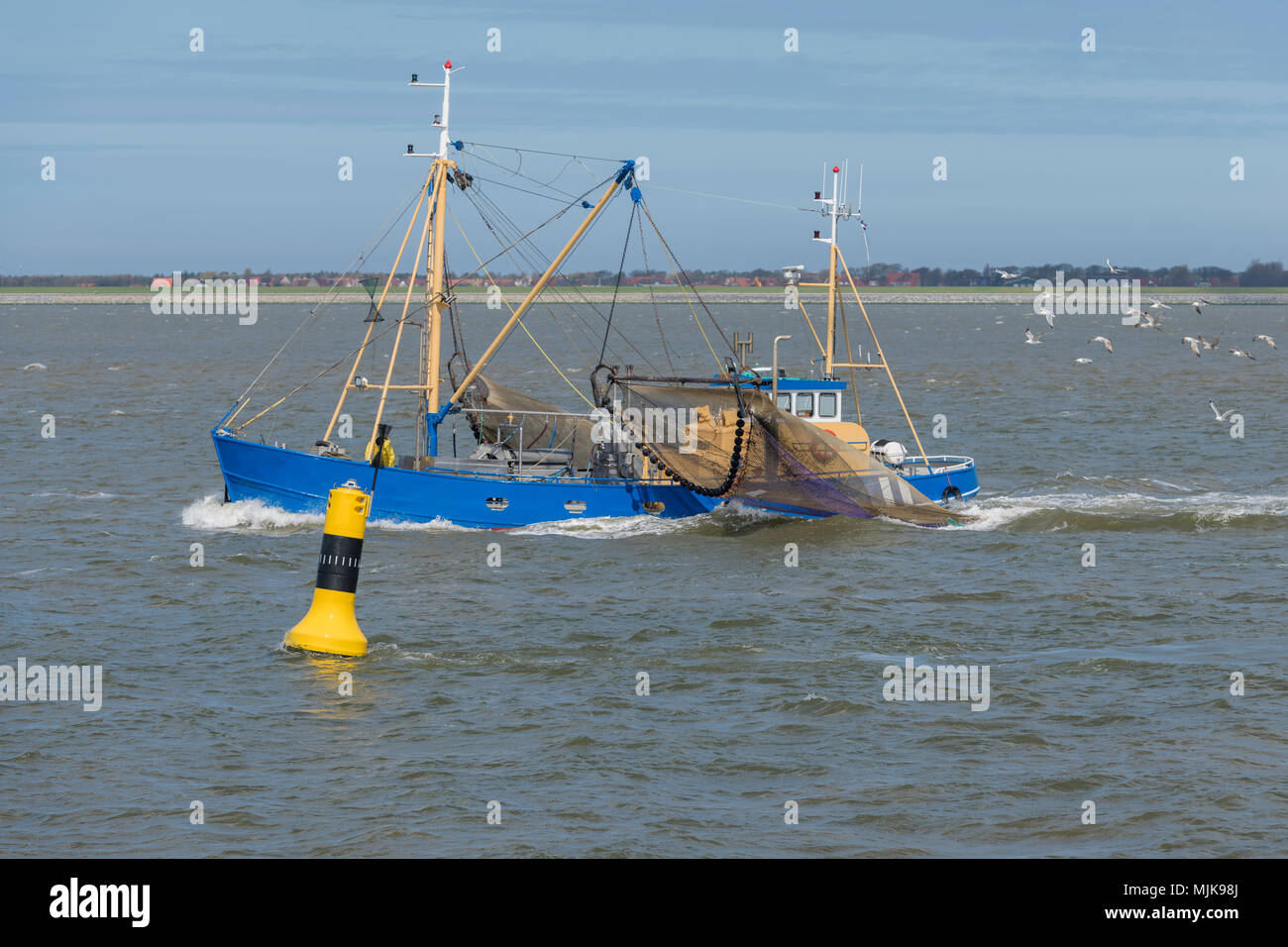 Gamberi commerciale barca da pesca sull'UNESCO protetti Waddenzee nei pressi dell'isola Ameland nel nord dei Paesi Bassi Foto Stock