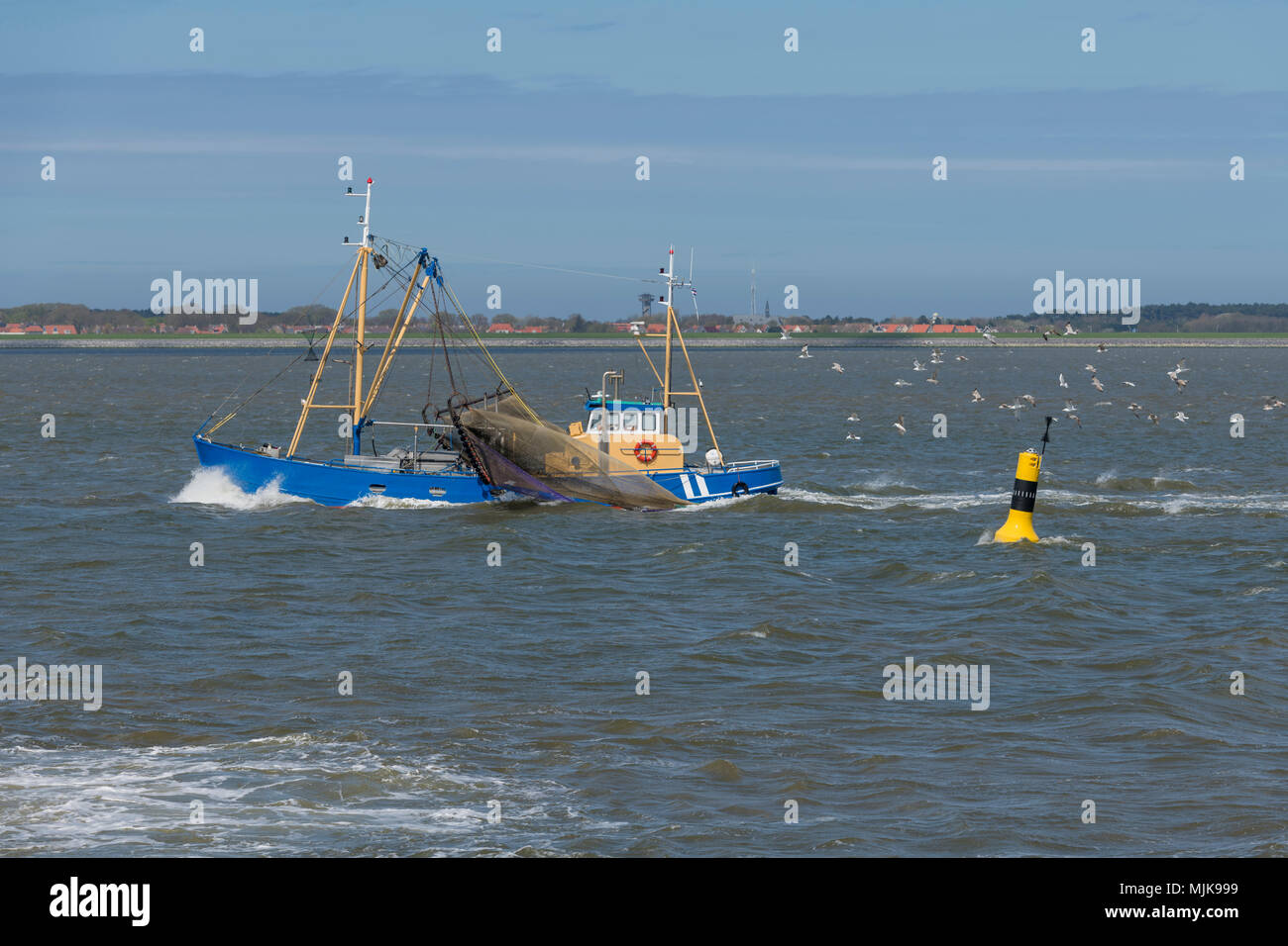 Gamberi commerciale barca da pesca sull'UNESCO protetti Waddenzee nei pressi dell'isola Ameland nel nord dei Paesi Bassi Foto Stock