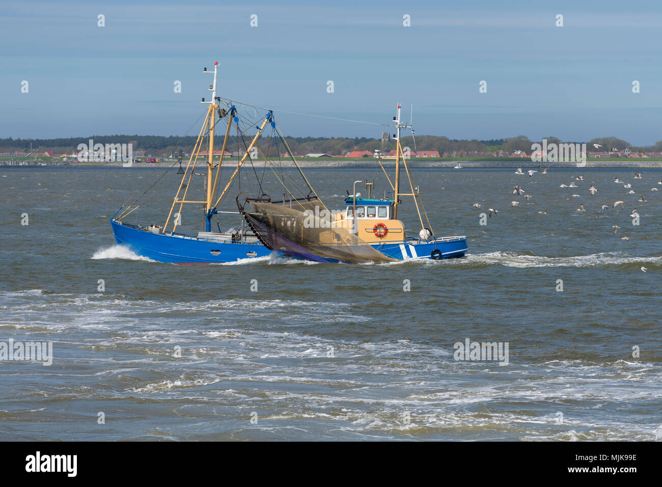 Gamberi commerciale barca da pesca sull'UNESCO protetti Waddenzee nei pressi dell'isola Ameland nel nord dei Paesi Bassi Foto Stock
