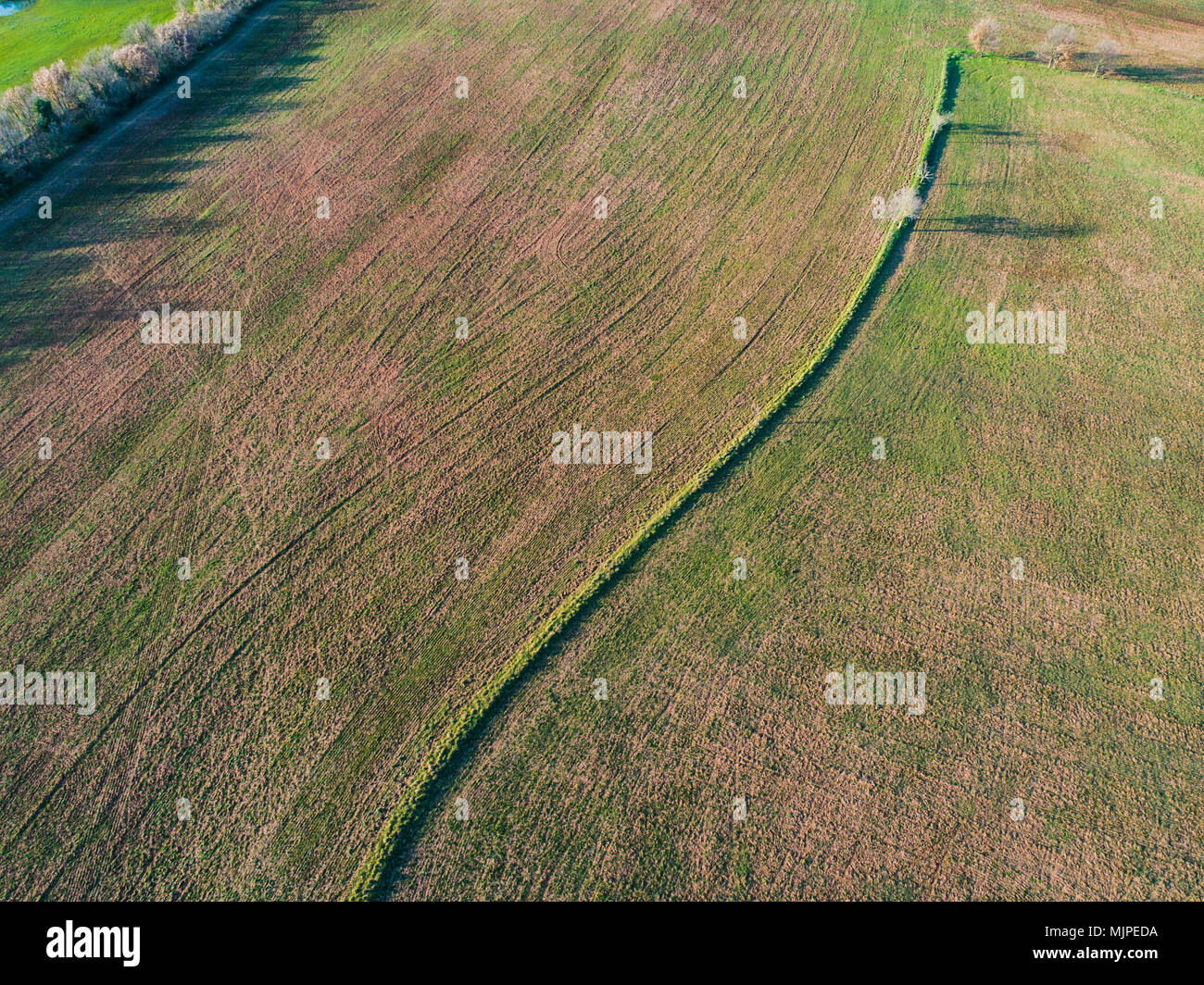 Campo Arato nella campagna romana Foto Stock