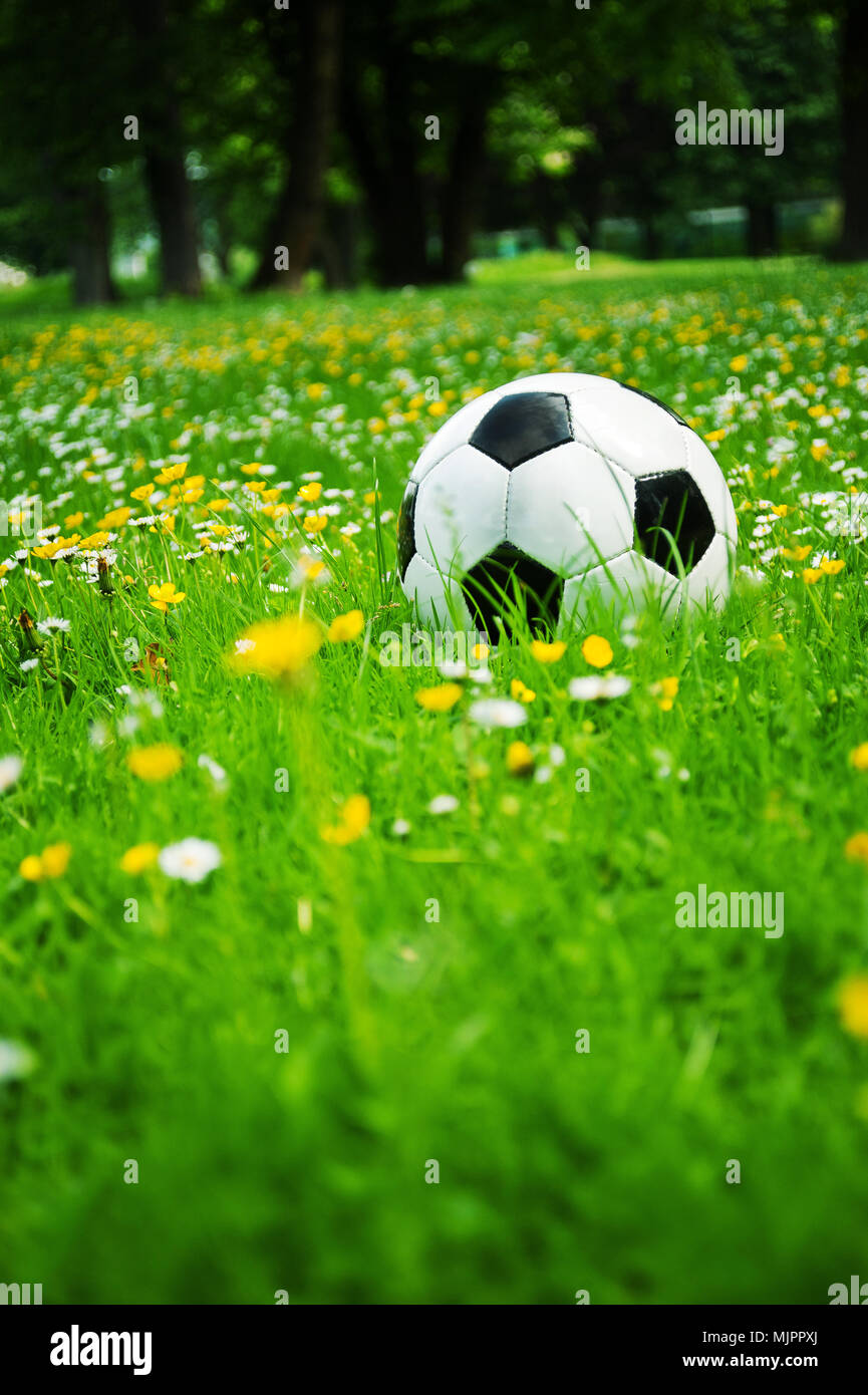 Un classico pallone da calcio in bianco e nero in erba con fiori in primavera nel parco Foto Stock
