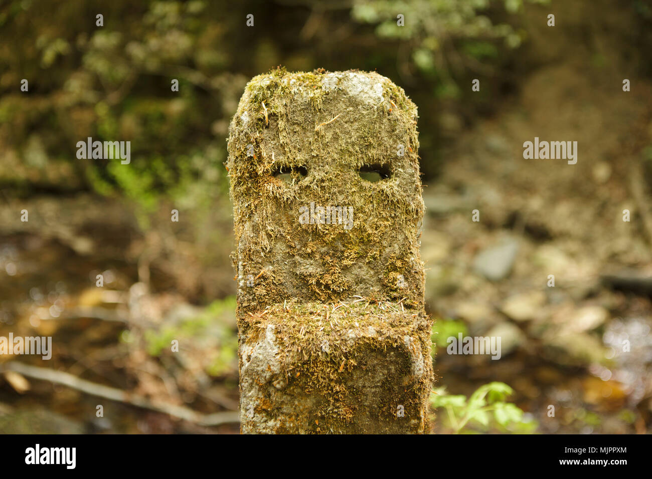 Cerchi di pietra come mostro strano Foto Stock