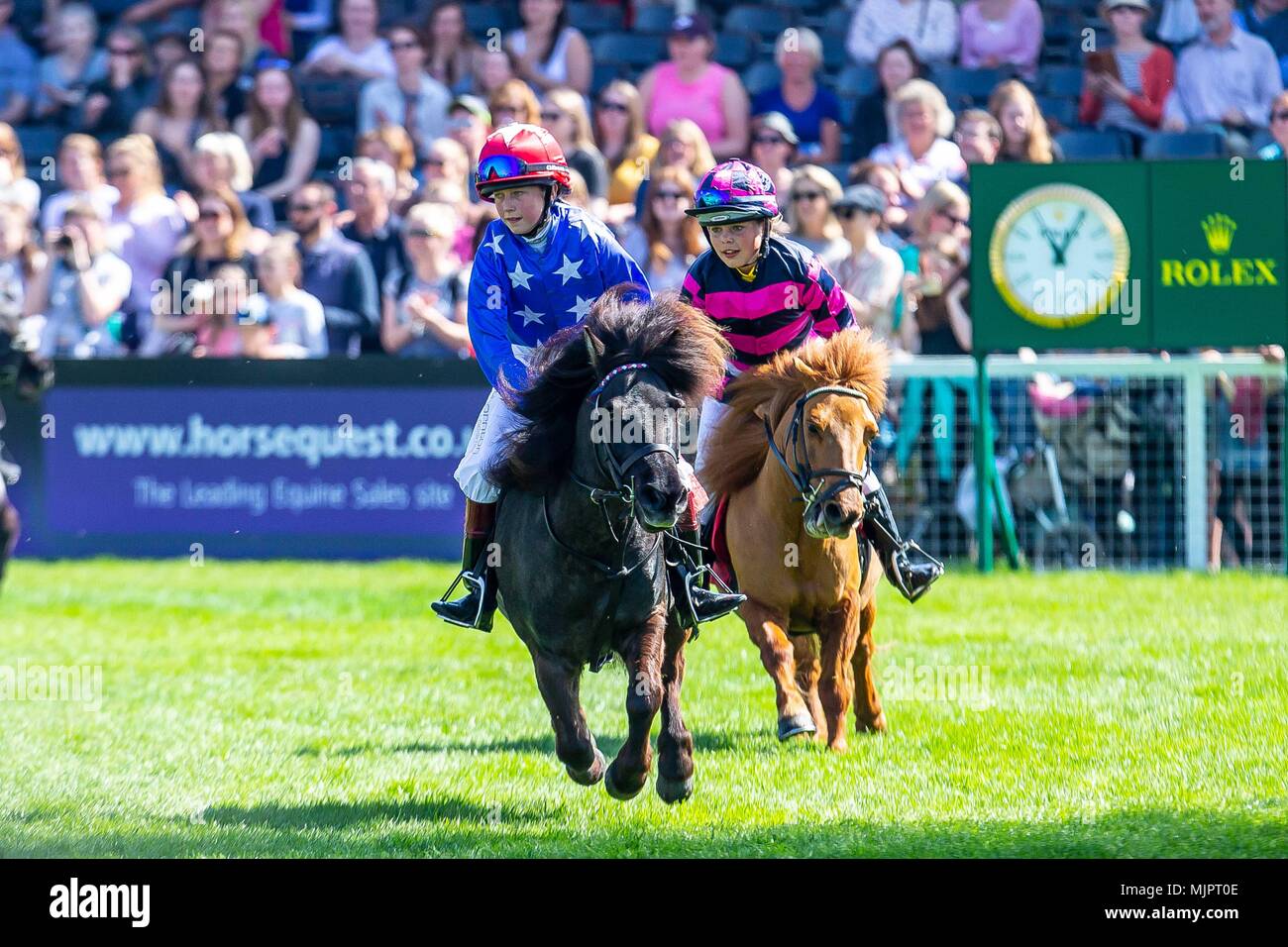 Badminton, Gloucestershire, Regno Unito, 5 maggio 2018. Cross Country. Shetland Grand Finale Nazionale. Mitsubishi Badminton Horse Trials. Badminton. Regno Unito. 05/05/2018. Credito: Sport In immagini/Alamy Live News Foto Stock