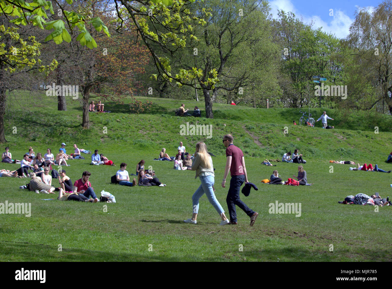 Glasgow, Scotland, Regno Unito il 6 maggio. Regno Unito Meteo : Sereno clima estivo ed infine raggiunge la città per il weekend. La gente del posto e i turisti per godersi il sole in Kelvingrove Park nel lussuoso west end della città. Gerard Ferry/Alamy news Foto Stock