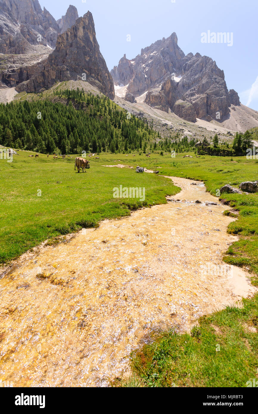 Picchi di montagna vista paesaggio delle Dolomiti. Val Venegia, San Martino di Castrozza. Foto Stock