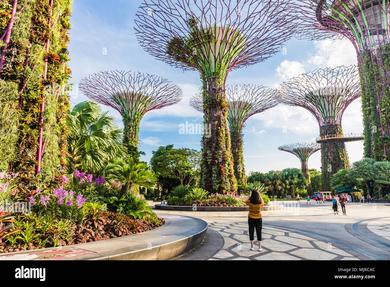 Il MARINA BAY, Singapore - Marzo 23, 2018: una donna di scattare una foto con la variopinta Supertree Grove a Giardini in baia con altri visitatori in backgr Foto Stock