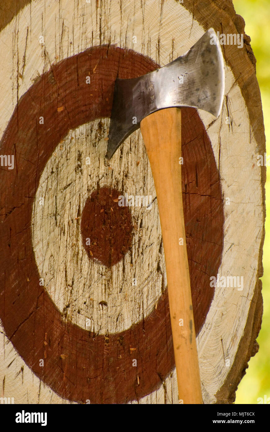 Ax buttare target, Linn County disboscatori' Jamboree, Linn County Pioneer Picnic, Brownsville, Oregon Foto Stock