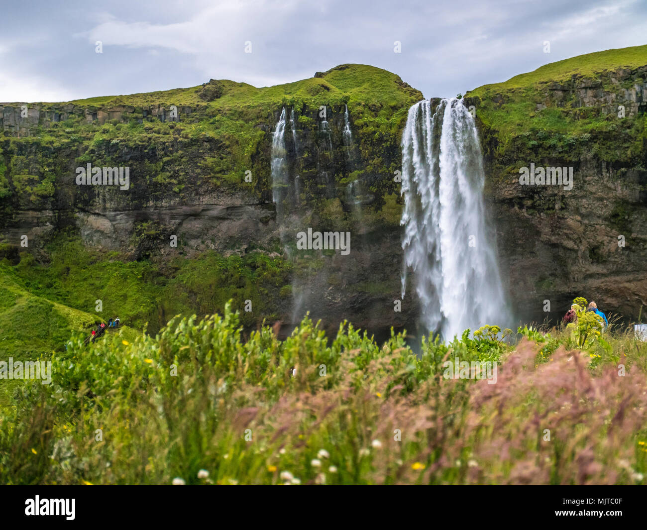 Seljalandsfoss è una cascata in Islanda Foto Stock