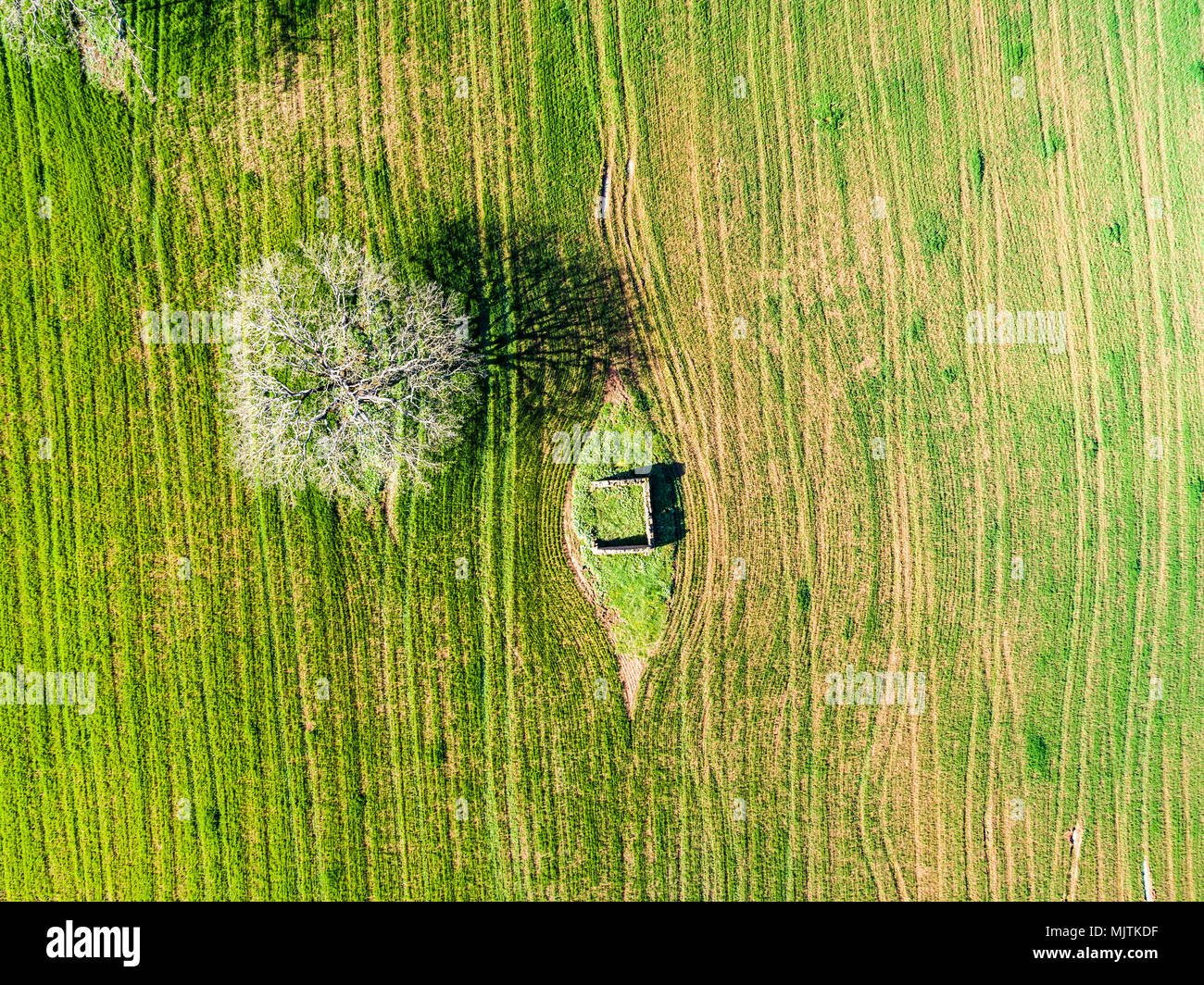 Vista aerea di un campo arato in Italia Foto Stock