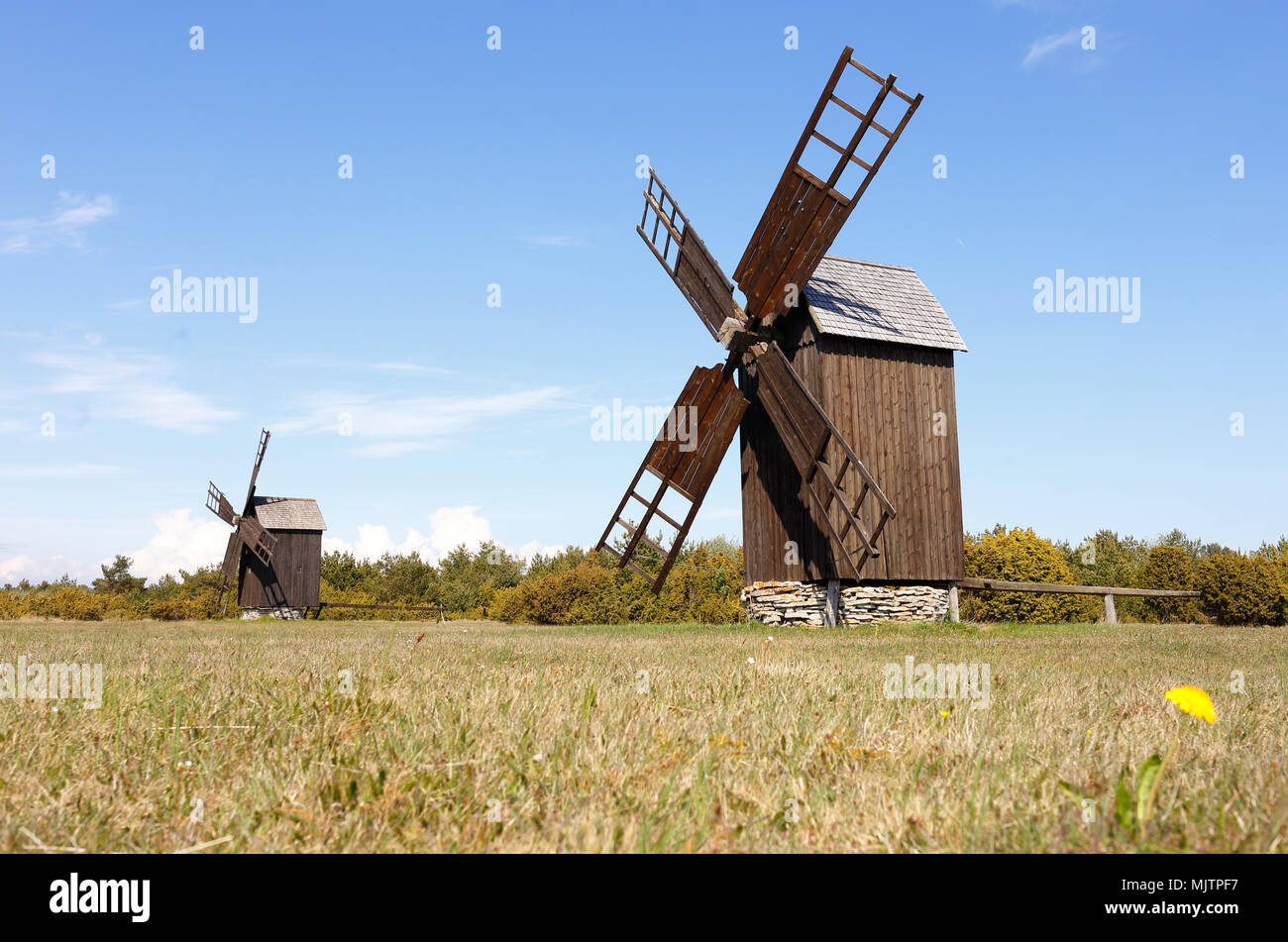 Due in legno marrone mulini a vento del sottotipo post mulino in un campo nella provincia svedese di Gotland. Foto Stock