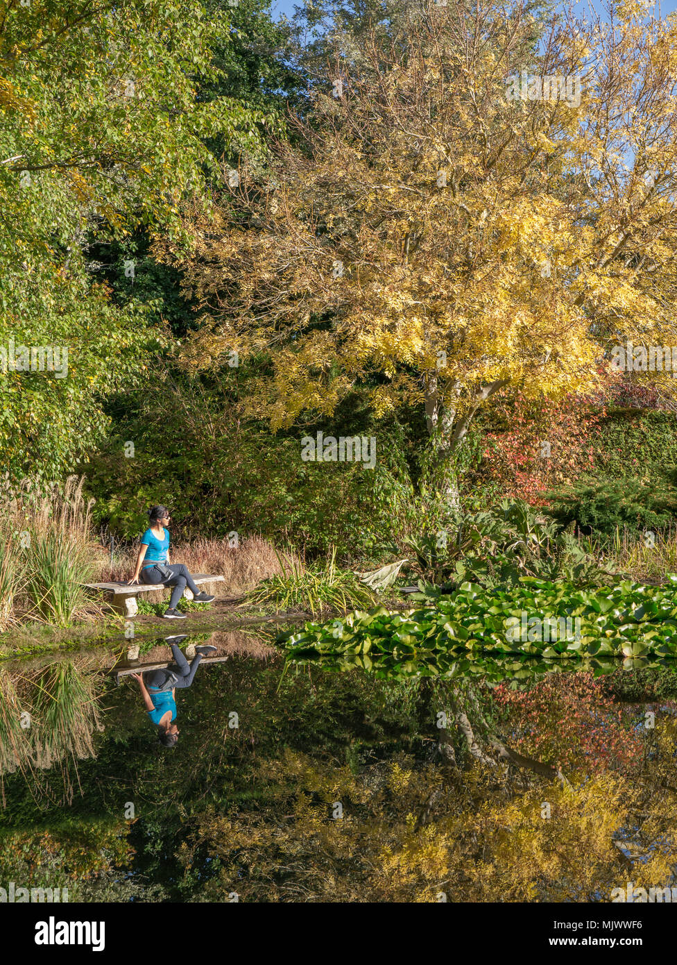 Giovane donna asiatica seduta sul banco di legno in corrispondenza del bordo di stagno su giornata soleggiata circondato da foglie di autunno con la riflessione in acqua. Foto Stock