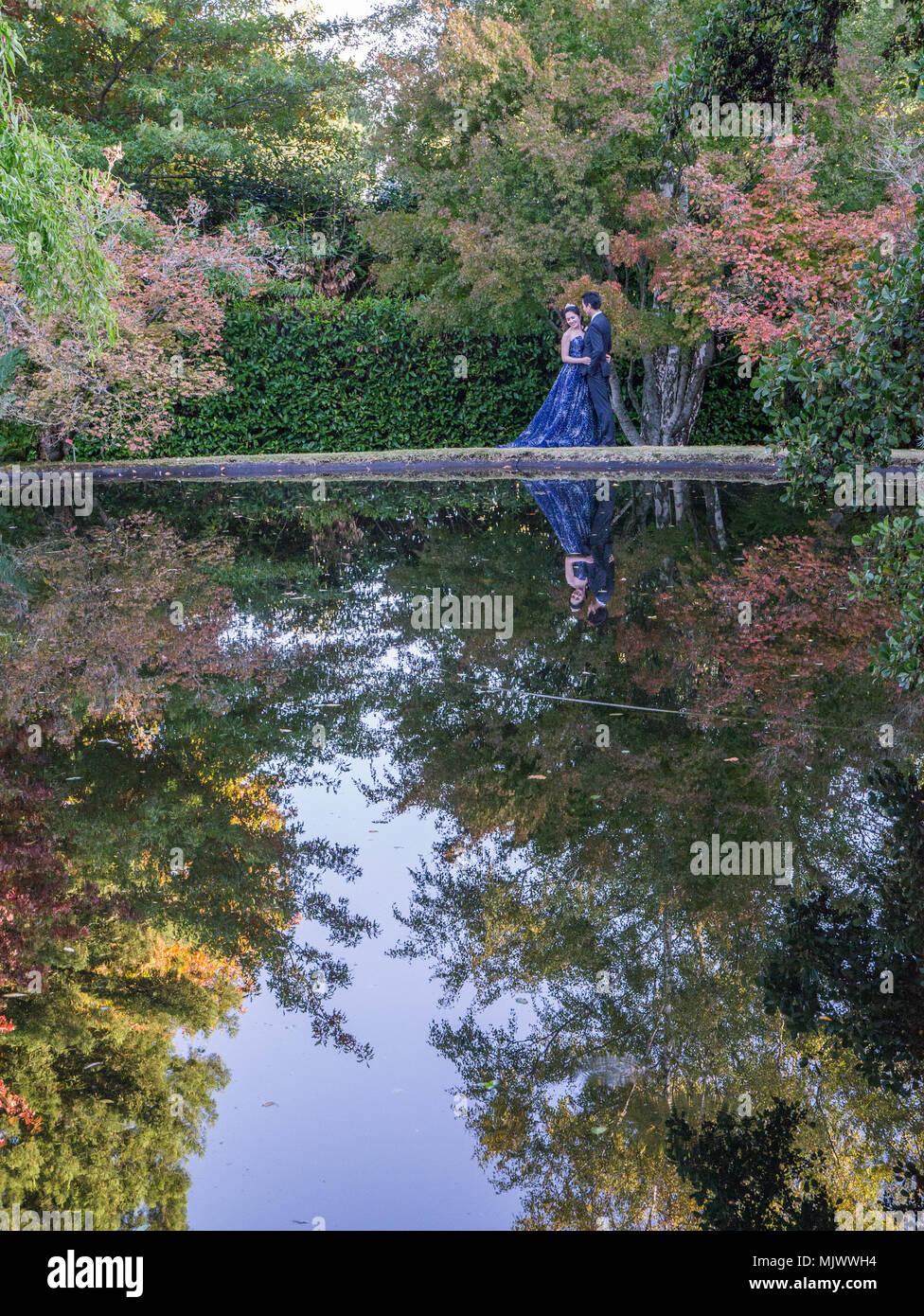 Giovani asiatici giovane avente wedding le foto scattate a bordo del laghetto in giardino con la riflessione di alberi e da loro stessi in acqua ancora. Foto Stock
