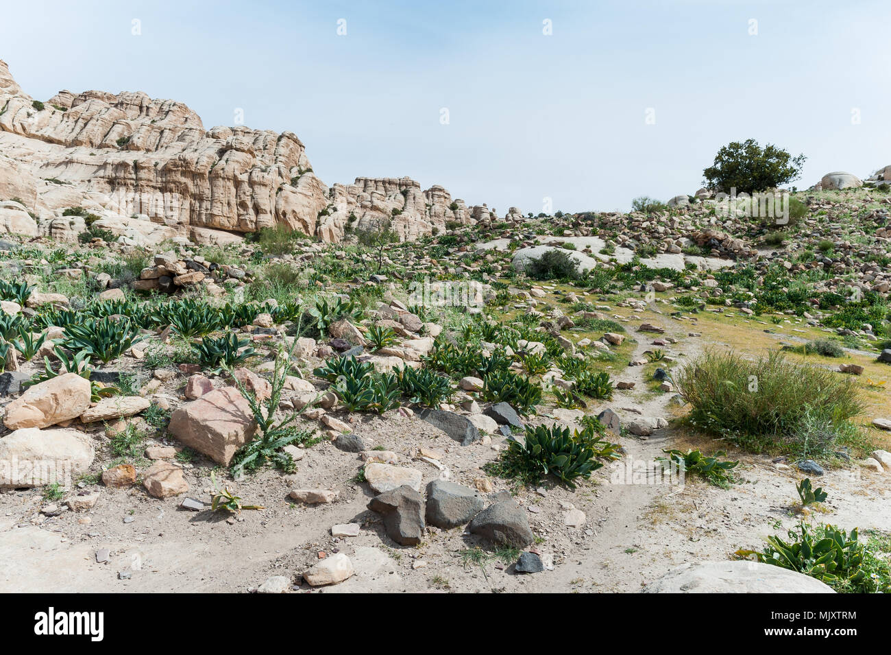 Dana Riserva della Biosfera Giordano è la più grande riserva naturale situata nel centro-sud della Giordania. Dana Riserva della Biosfera è stata fondata nel 1989 nell'area Foto Stock