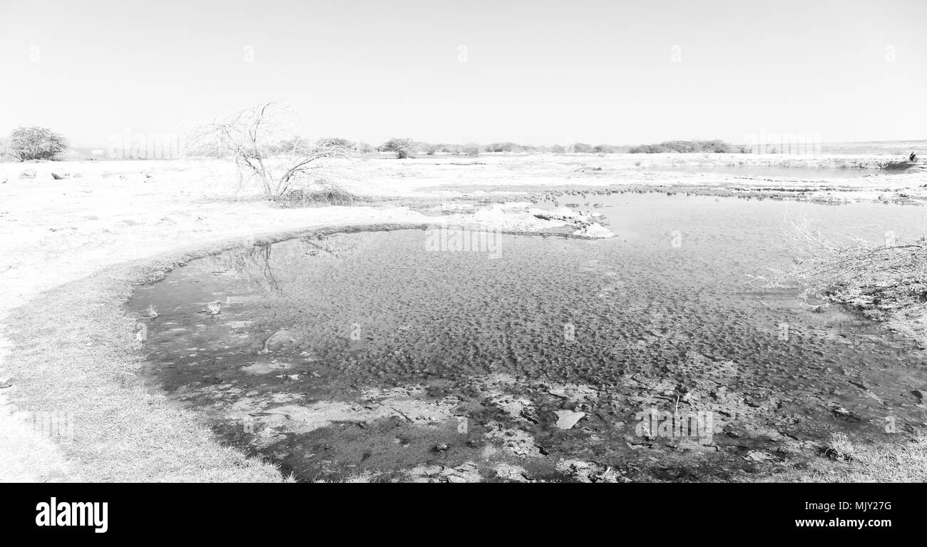 In danakil Etiopia africa la depressione vulcanica di Dallol e pole ale Foto Stock