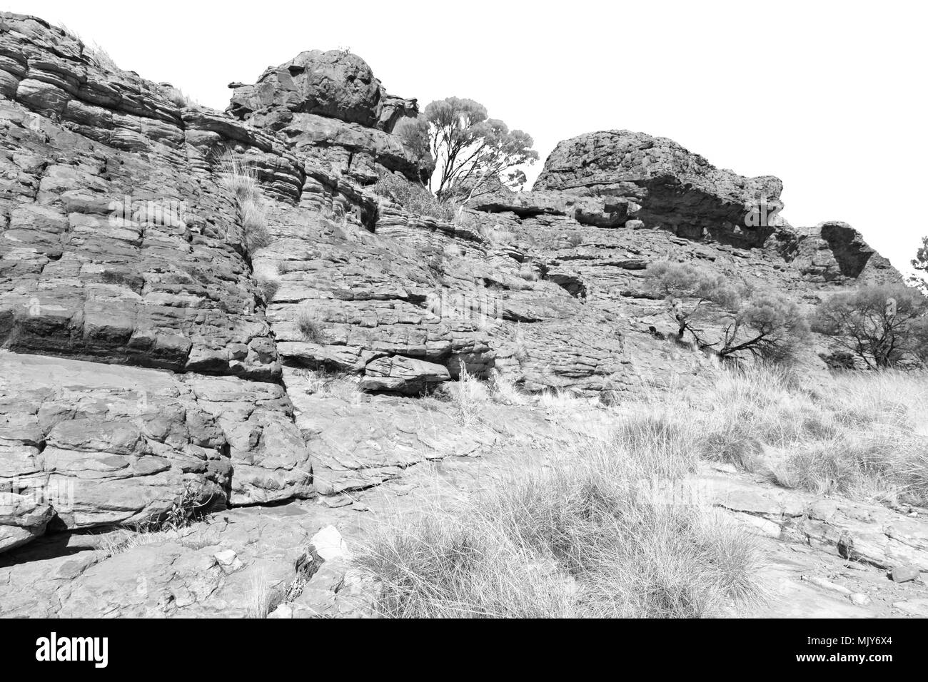 In Australia il Kings Canyon natura selvaggia e outback Foto Stock