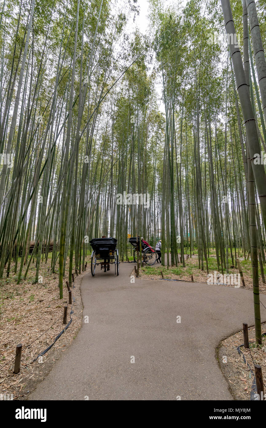 In rickshaw all'interno della foresta di bambù di Arashiyama, Kyoto, Giappone Foto Stock