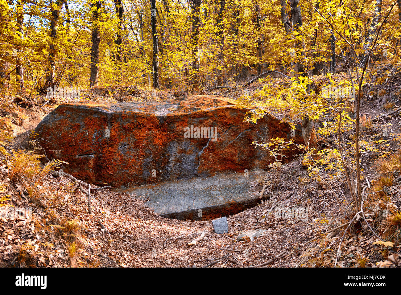 Masso erratico con licheni sulla superficie nei boschi del Parco regionale del Campo dei Fiori Varese con colori autunnali Foto Stock