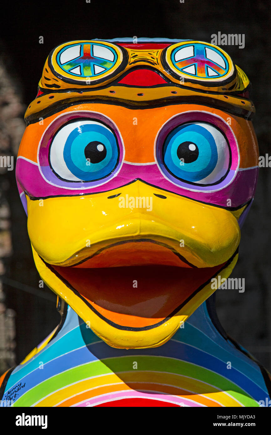 Faccia di 'pace' anatra parte dell'Andiamo Quackers arte di installazione su May Bank Holiday 2018 in Ironbridge, Shropshire, Inghilterra. Foto Stock