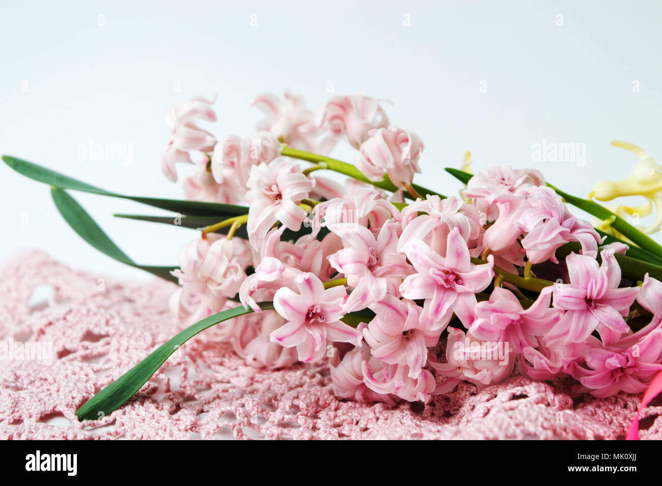 Giacinto rosa bouquet di fiori su una maglia di copertura della tabella Foto Stock