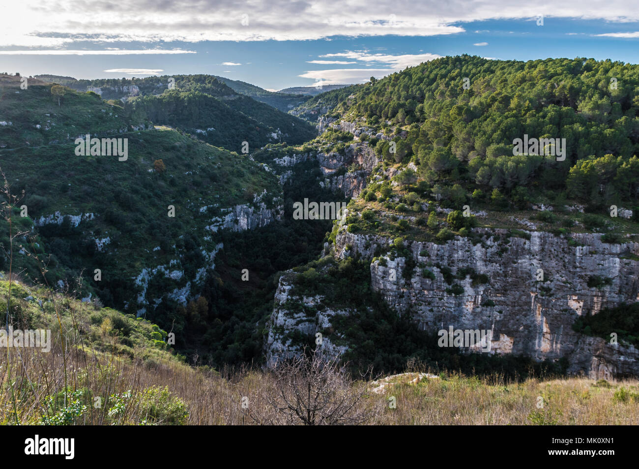 Vista panoramica della valle Anapo e l'altopiano di Pantalica vicino a Siracusa, in Sicilia Foto Stock
