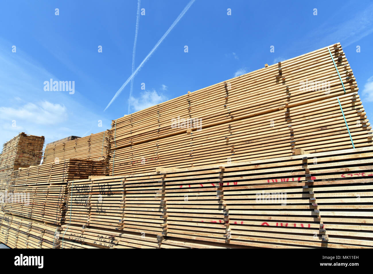 Impianto industriale segheria - stoccaggio dei pannelli in legno Foto Stock