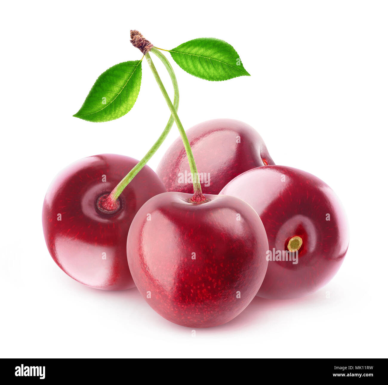 Le ciliegie isolato. Quattro ciliegio dolce frutta isolato su sfondo bianco con tracciato di ritaglio Foto Stock