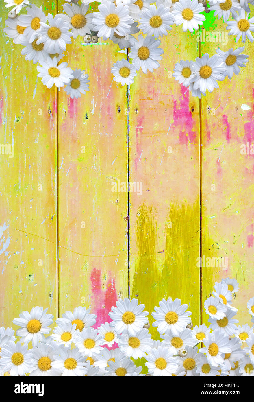 Giallo Vintage Colorato Sfondo Con Fiori A Margherita In Shabby Distressed Grungy Texture Stile Hippie Foto Stock Alamy Sfondi con fiori sfondissimo sfondi screensaver gratis. https www alamy it giallo vintage colorato sfondo con fiori a margherita in shabby distressed grungy texture stile hippie image183807657 html