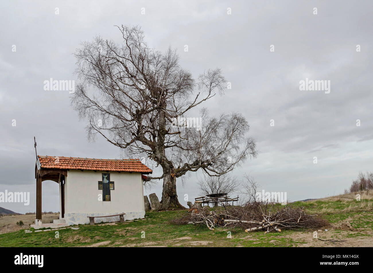 Bellissimo paesaggio con la primavera venerato betulla e vecchia cappella, situato nella montagna plana, Bulgaria Foto Stock