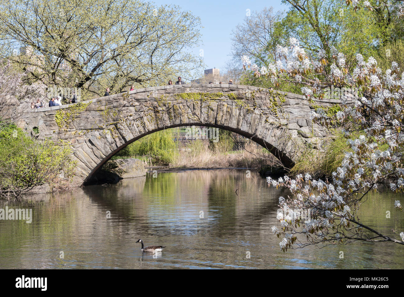 Gapstow Bridge a Central Park, New York, Stati Uniti d'America Foto Stock