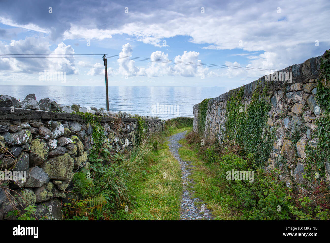 Sentiero pubblico alla spiaggia vicino Barmouth Gwynedd Wales UK Foto Stock