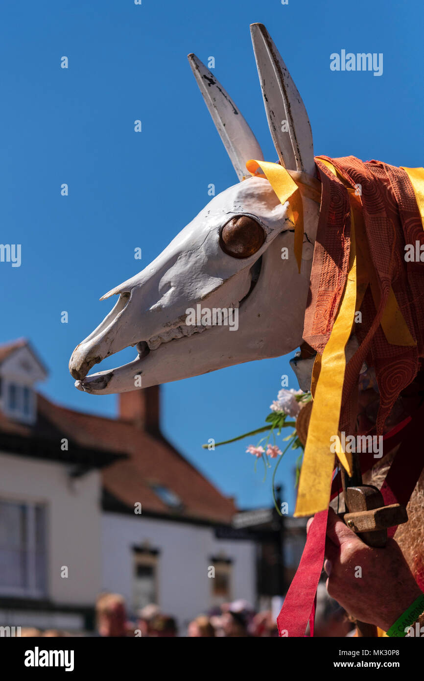 Cranio di cavalli utilizzati in un folk dance, UK. Testa di cavallo Upton su Severn folk festival. Foto Stock