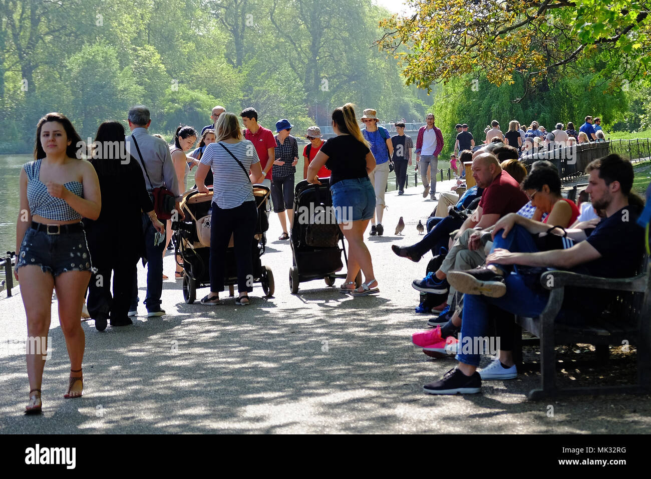 St James Park, Londra, Regno Unito, 6 maggio, 2018. Londra Meteo. St James Park è pieno di persone per godersi il sole e il calore di questo weekend. Credito: Judi Saunders/Alamy Live News Foto Stock