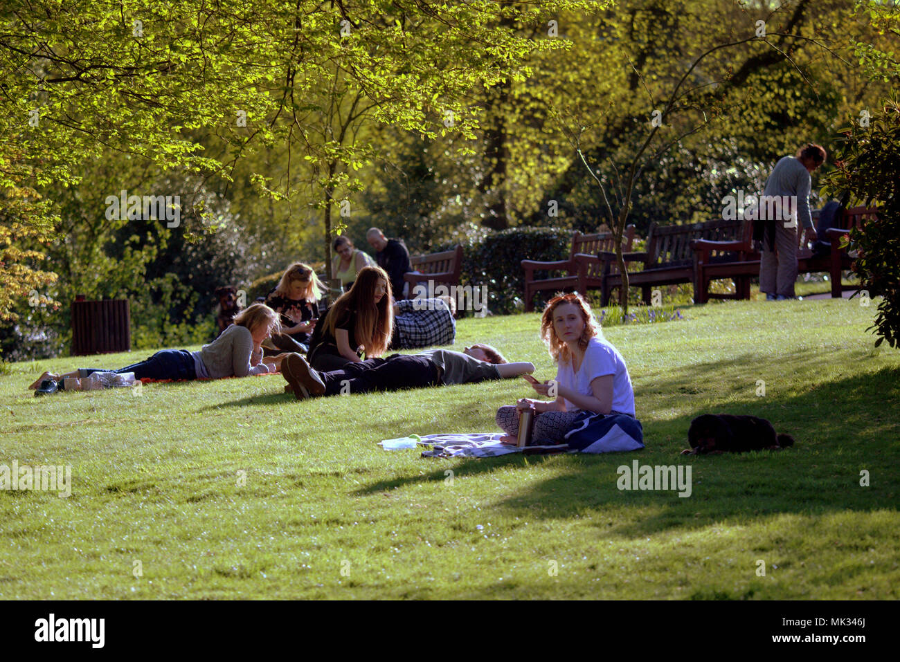 Glasgow, Scotland, Regno Unito il 6 maggio. Regno Unito Meteo : Sereno clima estivo ed infine raggiunge la città per il weekend. La gente del posto e i turisti per godersi il sole nel giardino botanico, la botanica, nel lussuoso west end. Gerard Ferry/Alamy news Foto Stock
