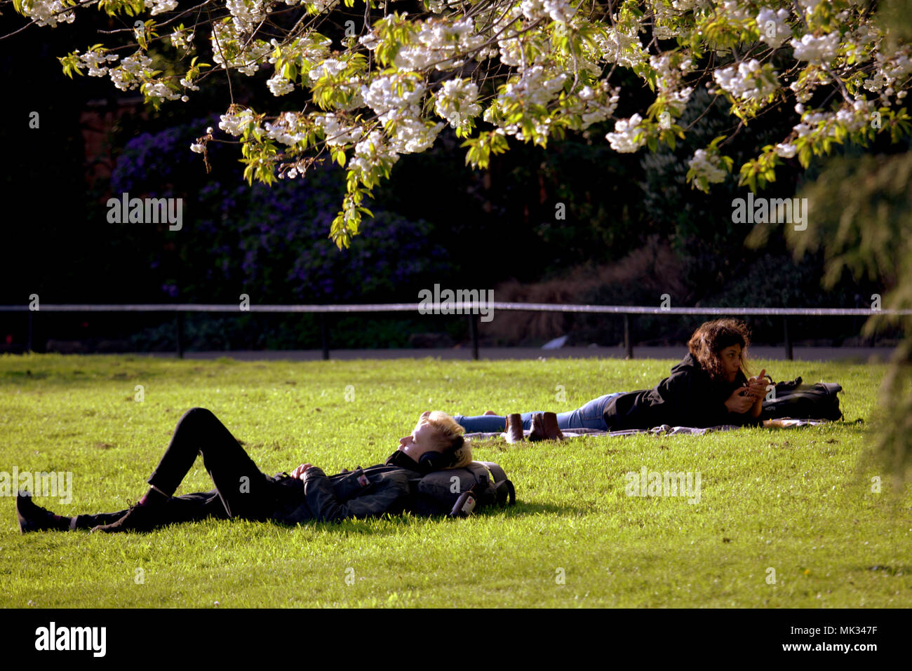 Glasgow, Scotland, Regno Unito il 6 maggio. Regno Unito Meteo : Sereno clima estivo ed infine raggiunge la città per il weekend. La gente del posto e i turisti per godersi il sole nel giardino botanico, la botanica, nel lussuoso west end. Gerard Ferry/Alamy news Foto Stock