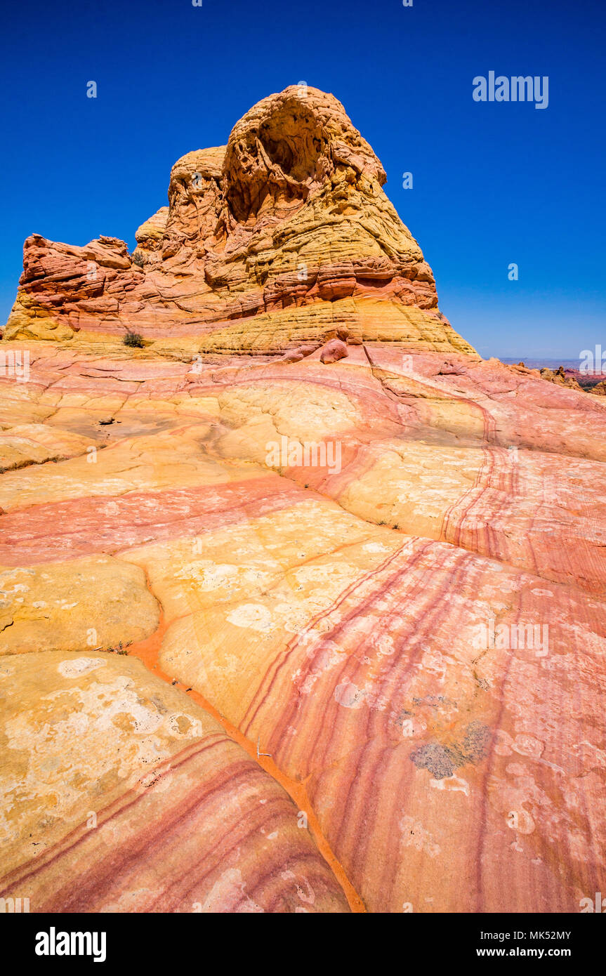 Colorata di rosso e strisce viola in arenaria formazioni rocciose pioppi neri americani accesso area sud Coyote Buttes Vermiglio scogliere Monumento Nazionale Arizona US Foto Stock