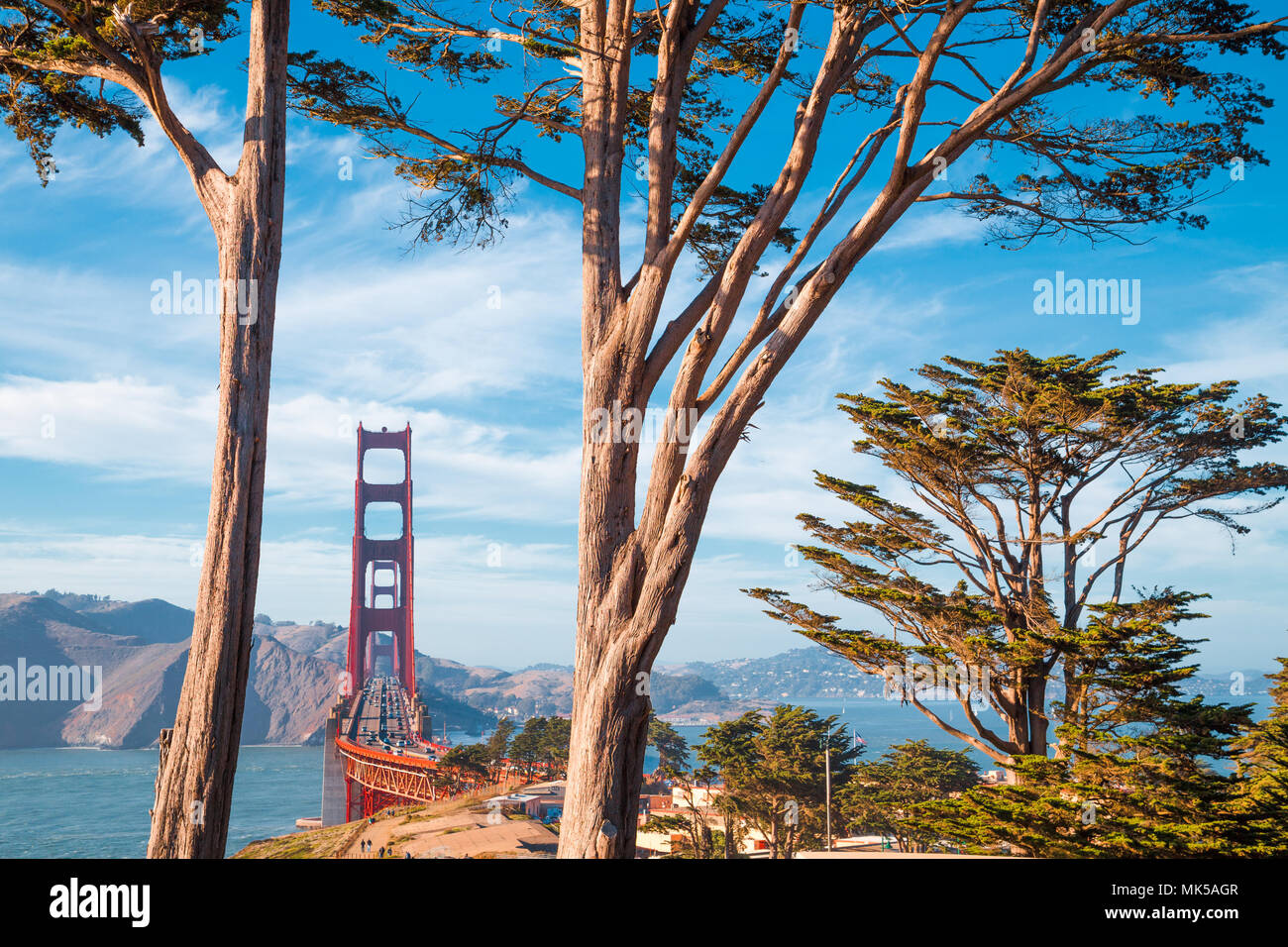 Famoso Golden Gate Bridge Incorniciata da vecchi cipressi a presidio parco su una bella giornata di sole con cielo blu e nuvole, San Francisco, California Foto Stock