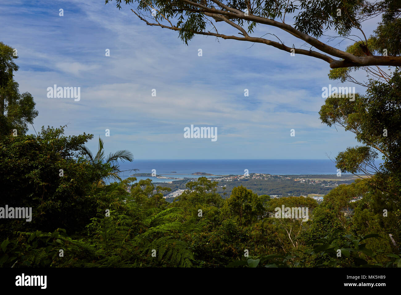 Vista su cercando Coffs Harbour da Sealy Lookout su una luminosa giornata autunnale, Nuovo Galles del Sud, Australia e Sud Pacifico Foto Stock