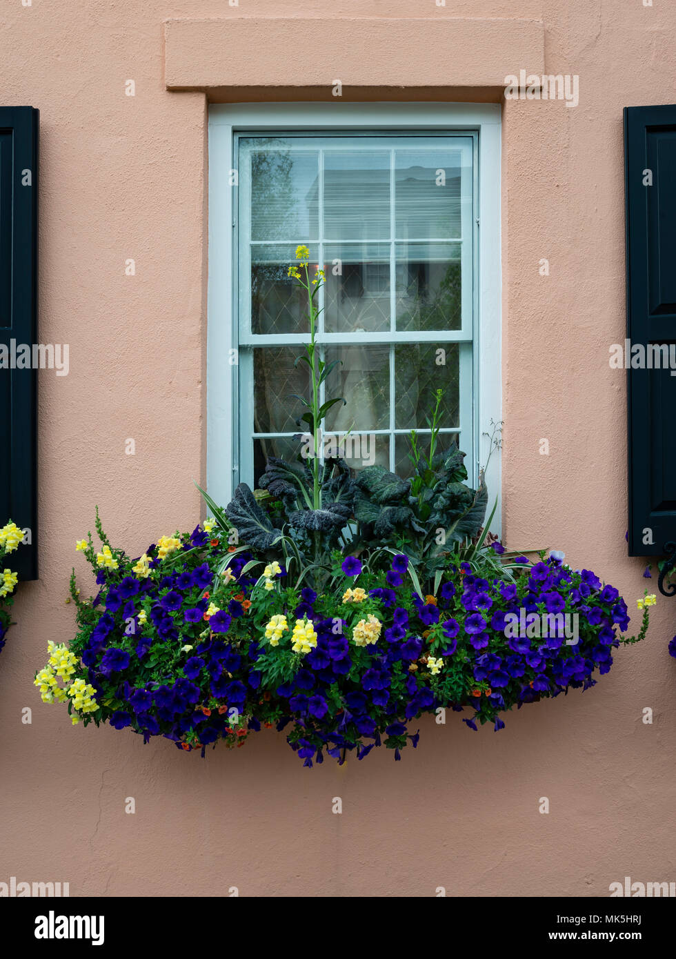 Vetri colorati e scatole di finestra di piantatrici visualizza complementi migliorare architettura in Stati Uniti d'America meridionale Foto Stock