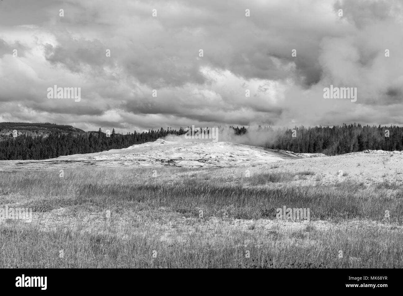 Geyser mound nel mezzo del campo di vaporizzazione, sotto il cielo nuvoloso. Immagine in bianco e nero. Foto Stock