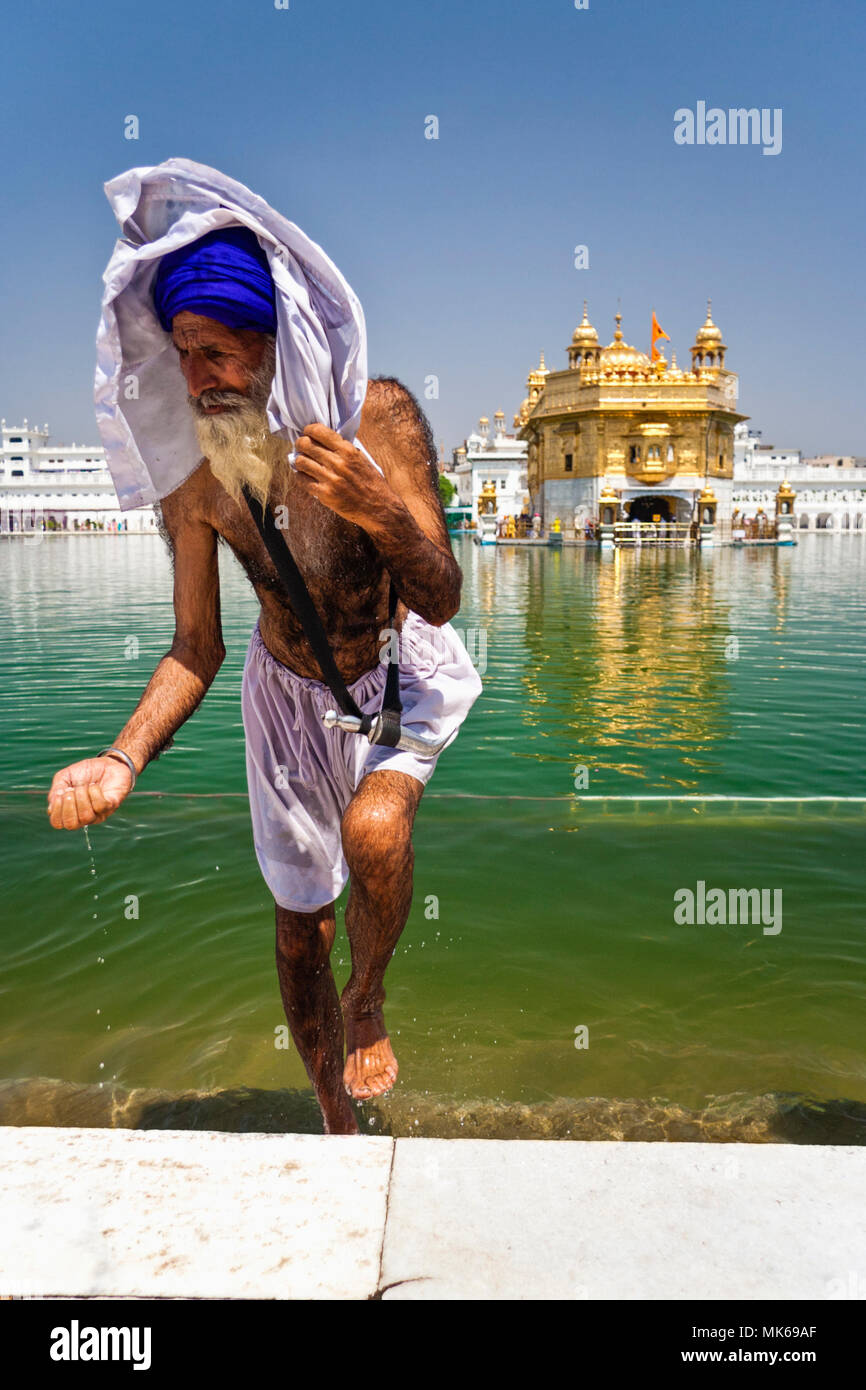 Amritsar Punjab, India : Un vecchio uomo Sikh andando fuori l'Amrit Sarovar piscina presso l'Harmandir Sahib o Tempio Dorato tenendo acqua santa in una mano Foto Stock